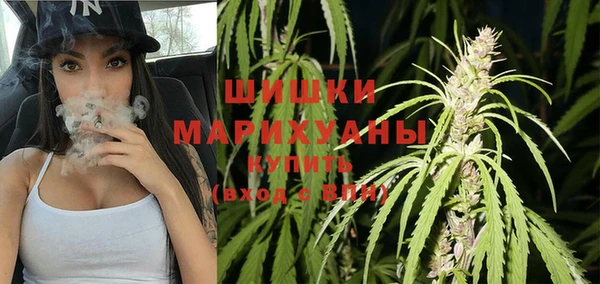сатива Абаза