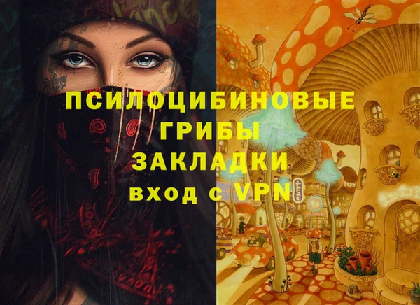 Альфа ПВП Алексин