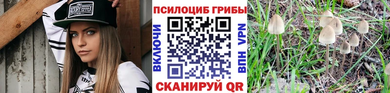 Псилоцибиновые грибы прущие грибы  shop как зайти  Яхрома 